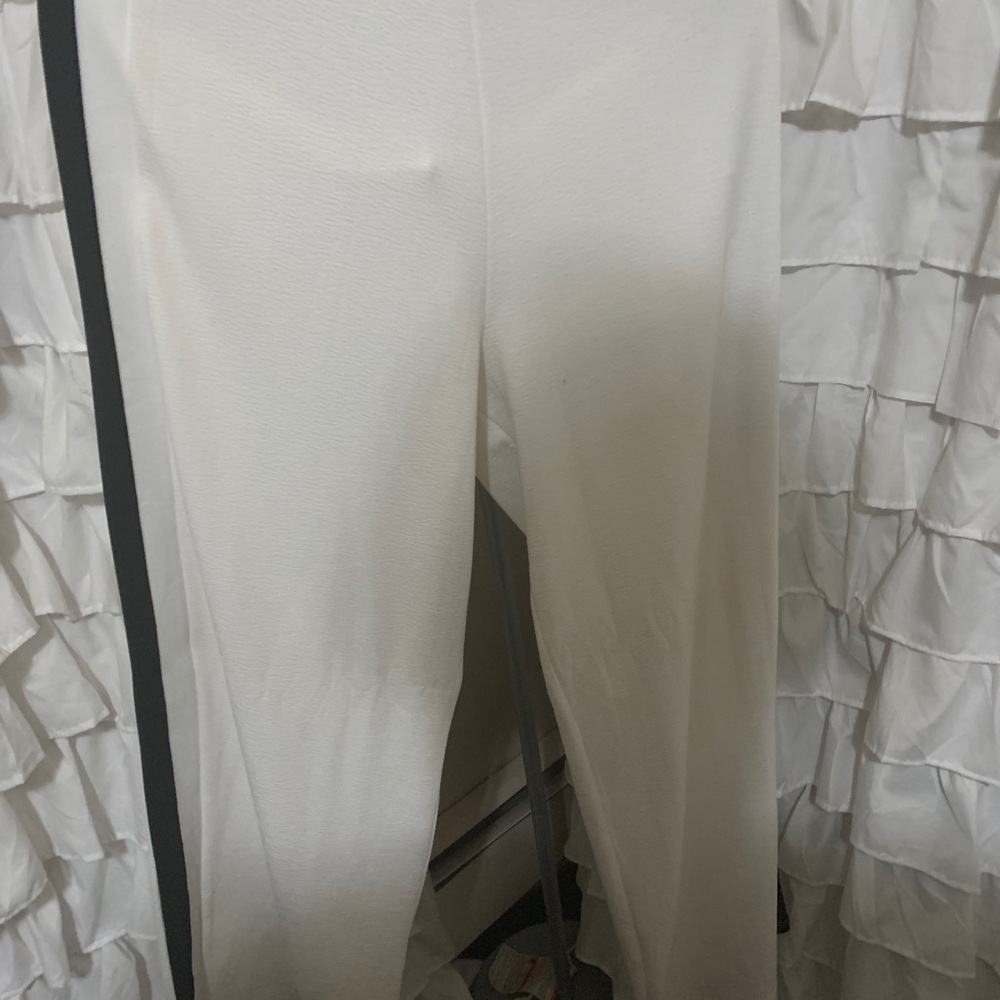Wines Zara Palazzo Pants